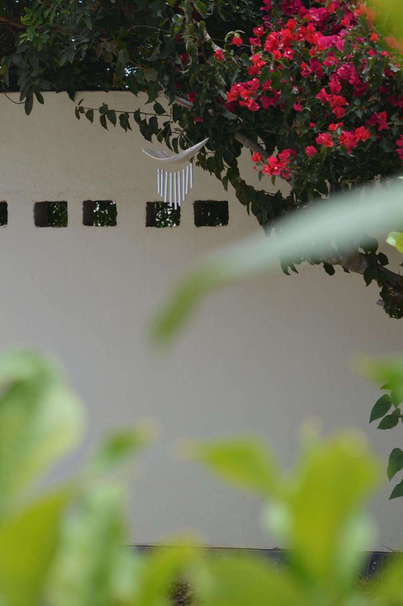 Cottage On Diamond Street Swakopmund Ngoại thất bức ảnh